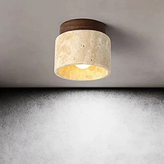 Small Ceiling Light